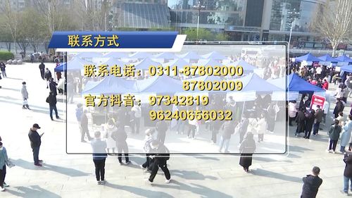亮点多多 河北省第二场 春招 在省艺术中心文化广场举办