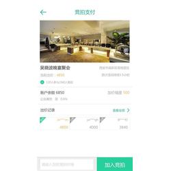 西安.NET软件开发与摄影艺术的融合